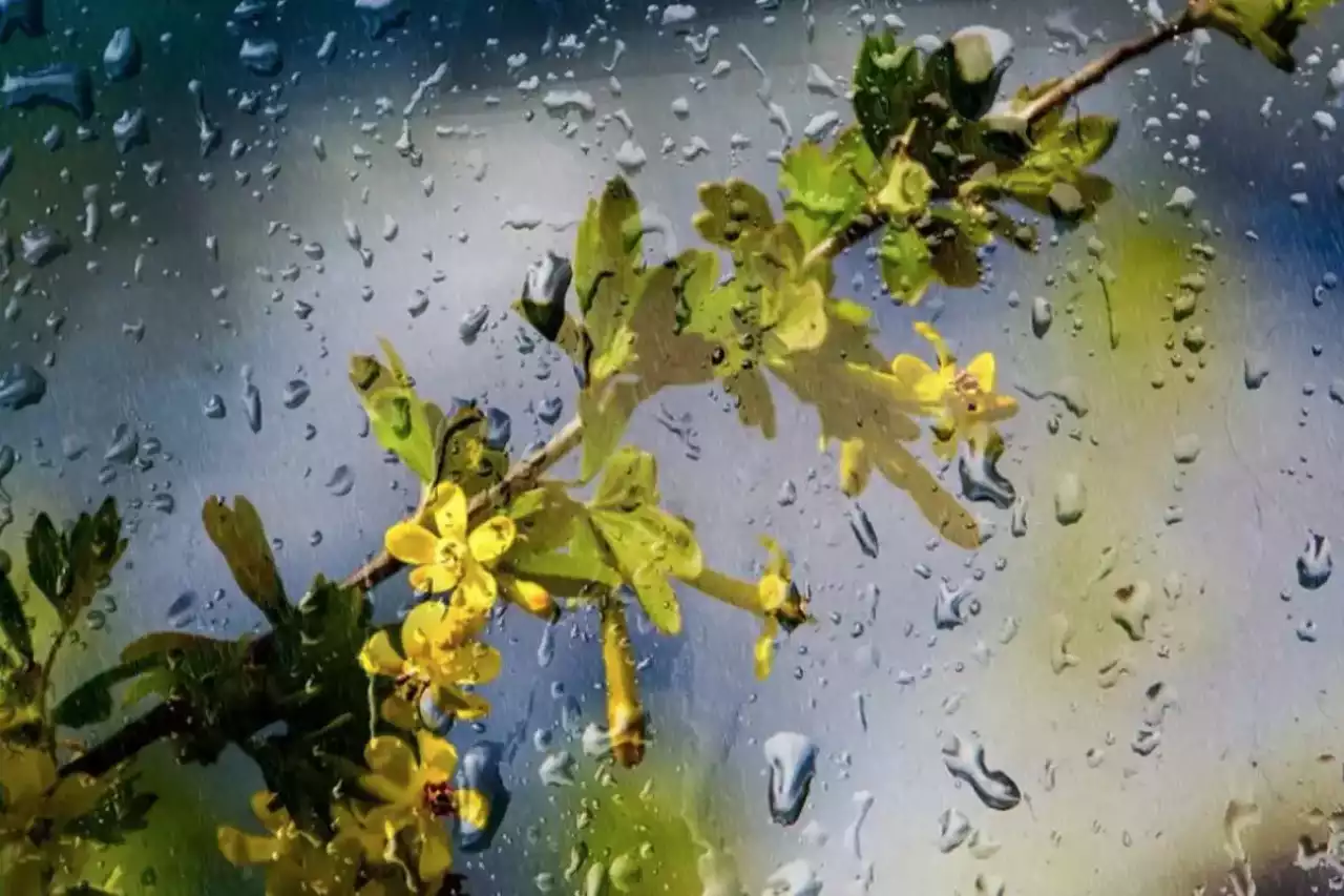 "2 градус үсік": 20 сәуірге арналған ауа райы болжамы