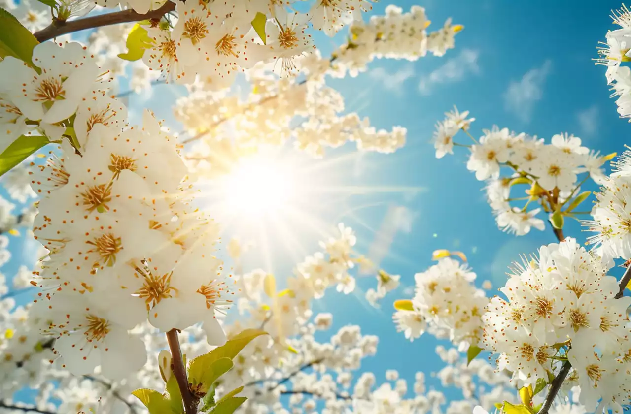 Кей аймақта нөсерлі жаңбыр: 26 сәуірге арналған ауа райы болжамы