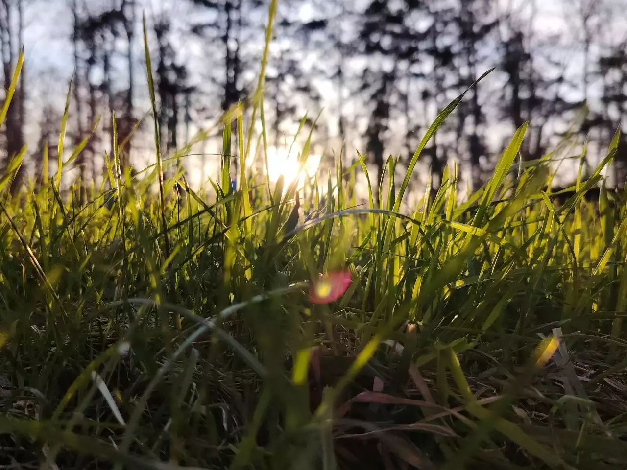 Қазақстанда сәуір айының соңғы күндері жаңбырлы болады