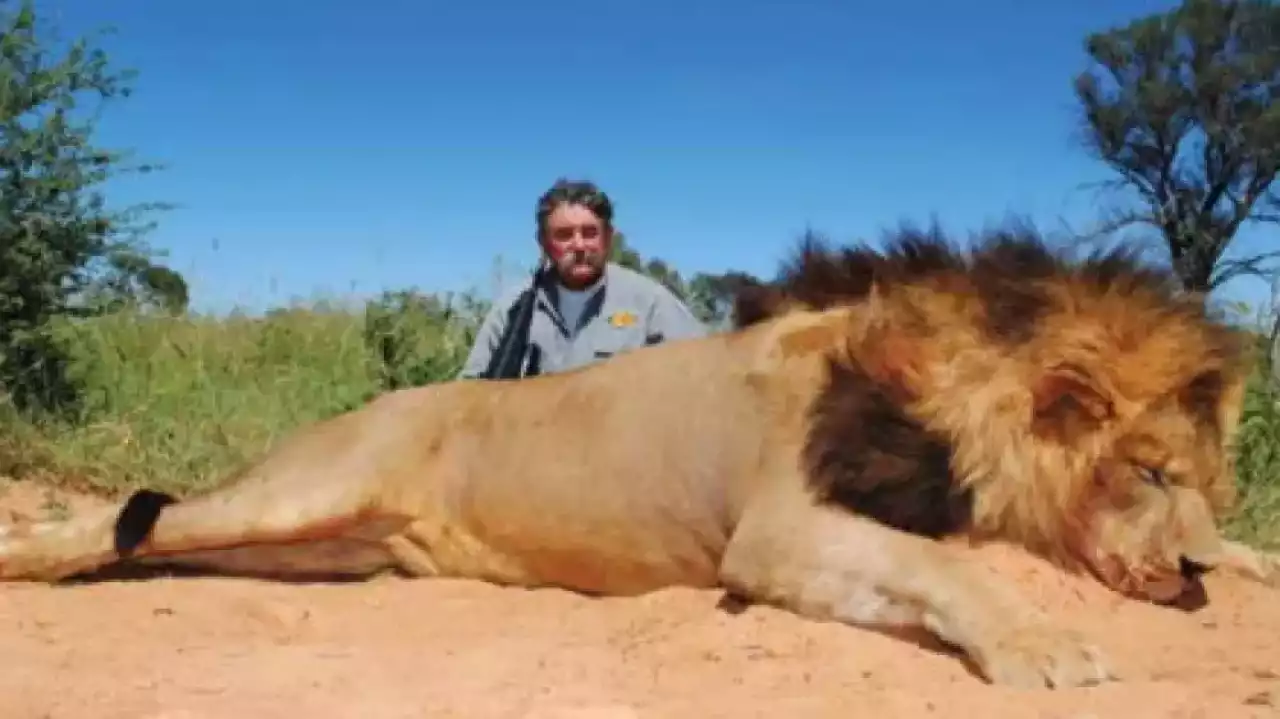 Африкада аң аулауға шыққан миллионерді пілдер таптап өлтірді