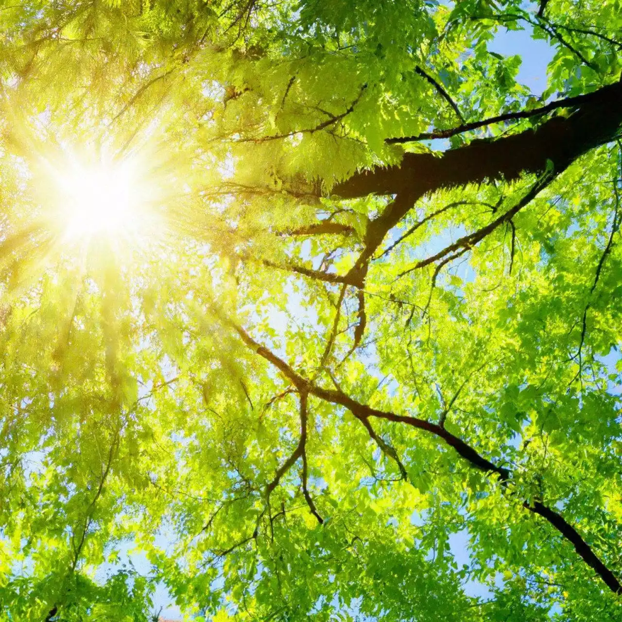 32 градус ыстық: 29 шілдеге арналған ауа райы болжамы