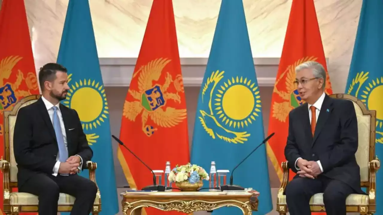 Тоқаев Черногория президентімен келіссөз жүргізді