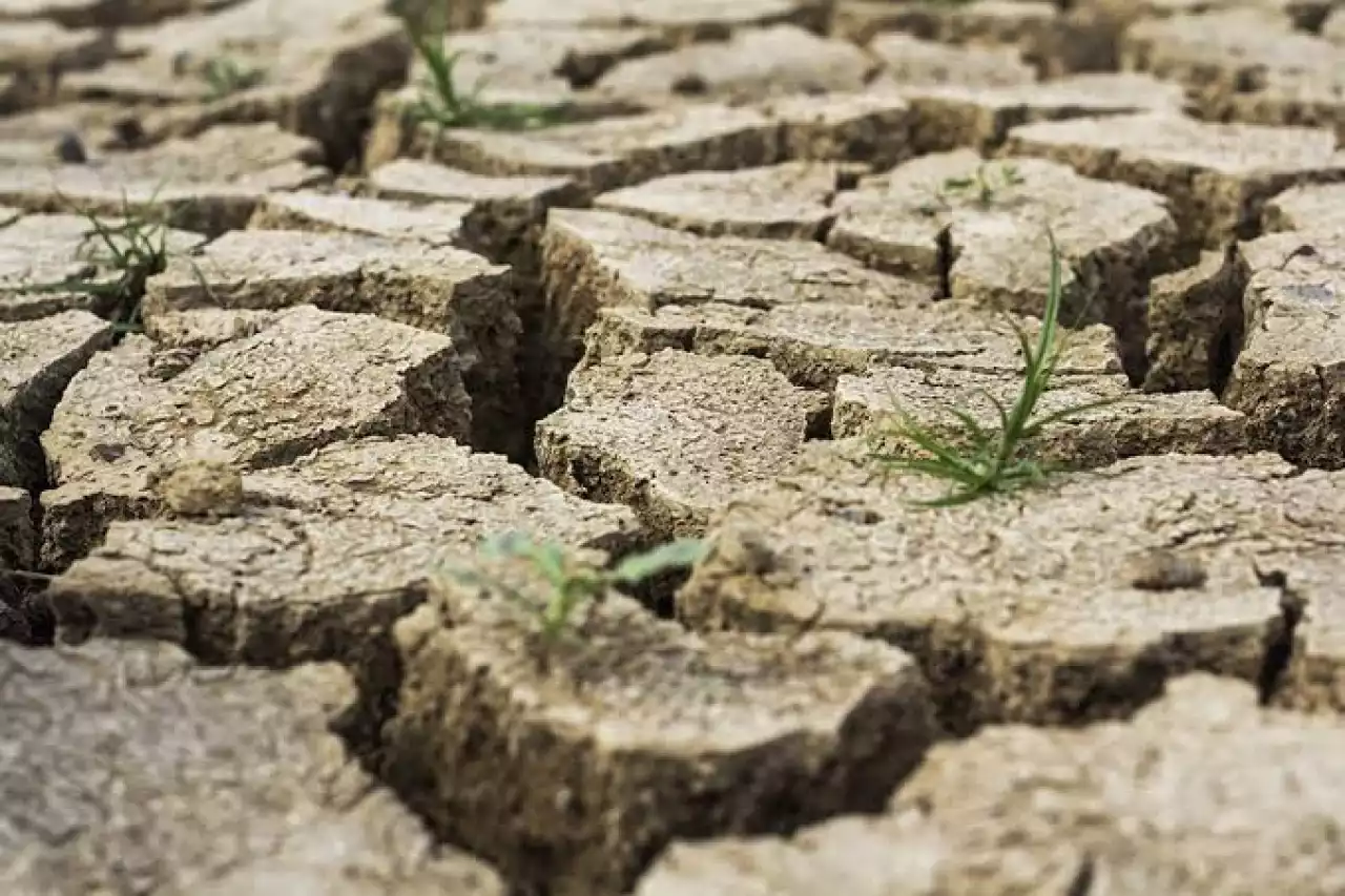 Шілде айында Қазақстанның қай өңірлерінде құрғақшылық болады?