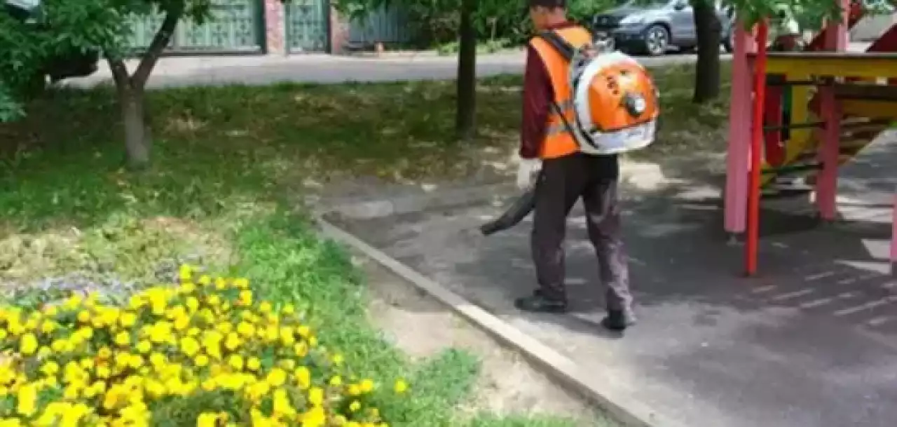 Астанада полицейді балағаттап жылатқан адам аула  тазалайтын болды