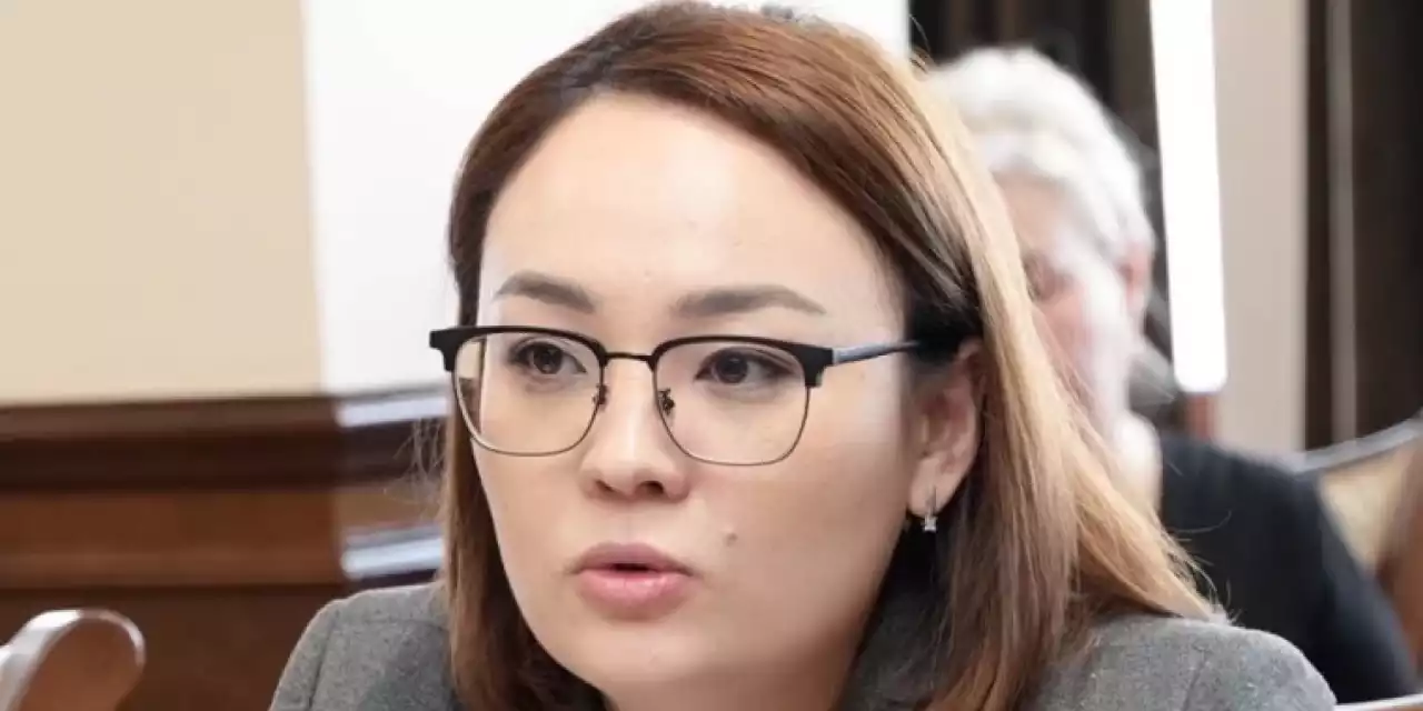 Жұлдыз Кәрім: Қазақстан парламенттік жүйенің жаңа кезеңіне қадам басты