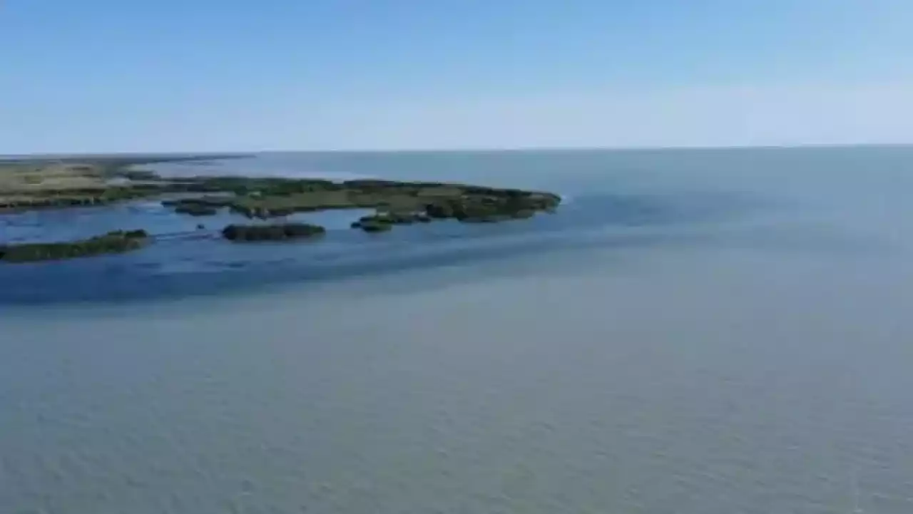 Қазақстан орман-климаттық жобаларға инвестиция тарту үшін жаңа мүмкіндіктер ұсынады