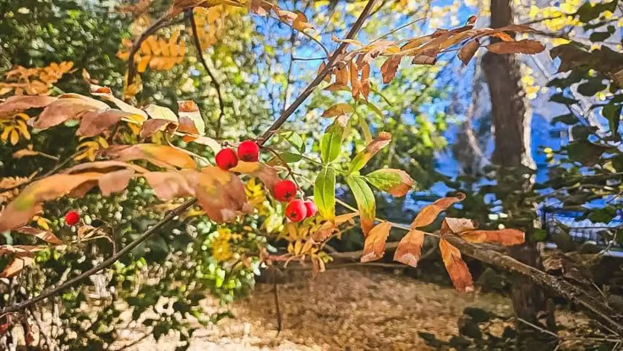 Қазақстанда алдағы үш күнде ауа райы ыстық болады