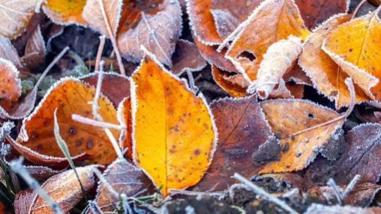 Қазақстанда алдағы үш күнде қар жауып, үсік жүреді